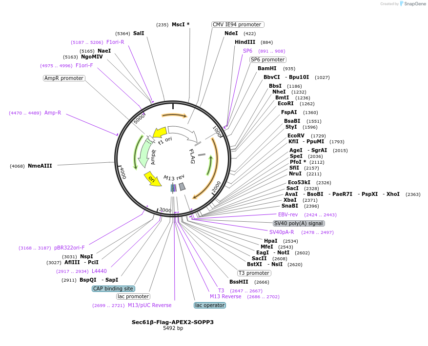 460062_map