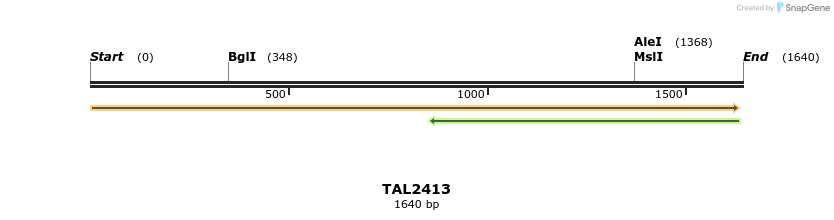 46007_map