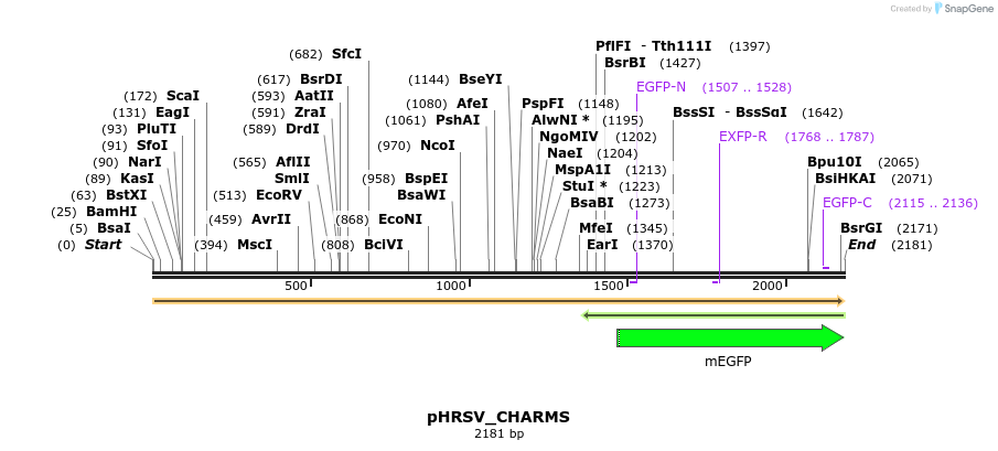 460070_map