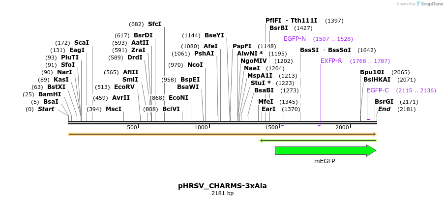 460072_map