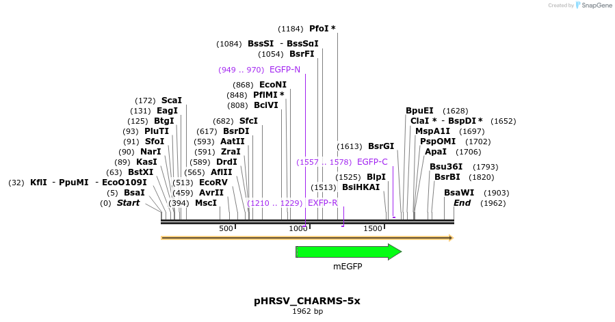 460084_map