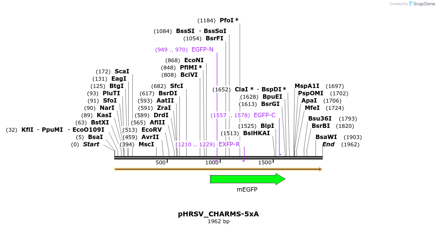 460086_map