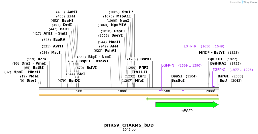 460092_map