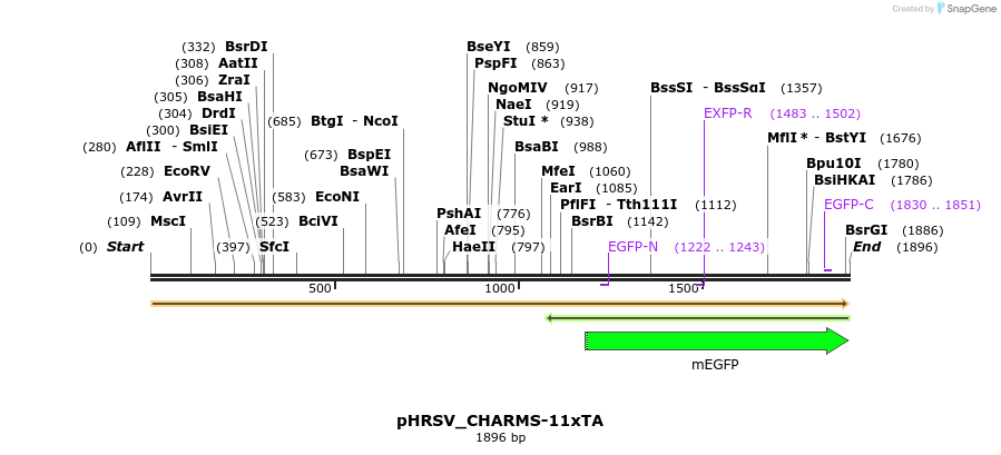 460094_map