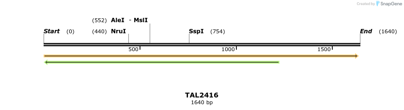 46010_map