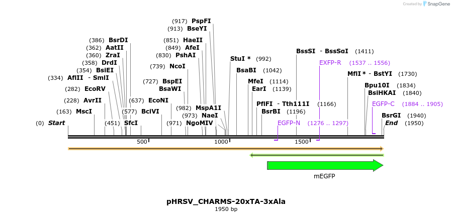 460104_map