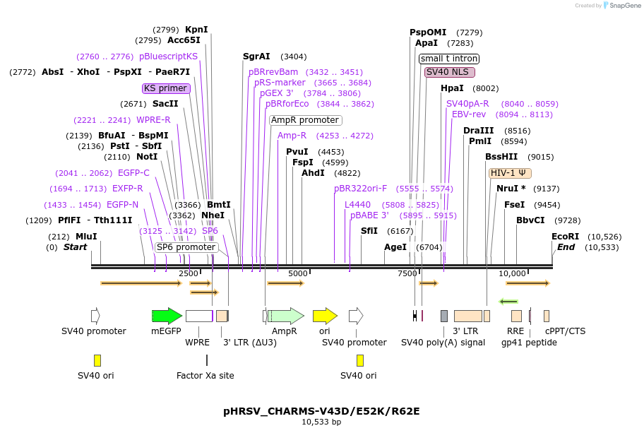 460110_map