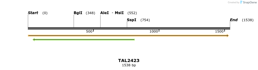 46017_map