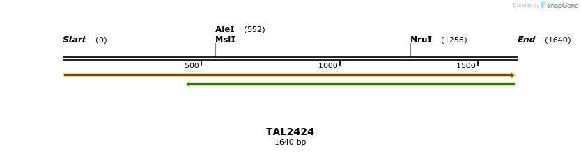 46018_map