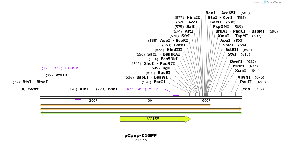 460243_map