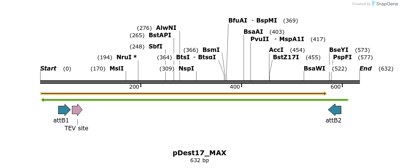 460249_map