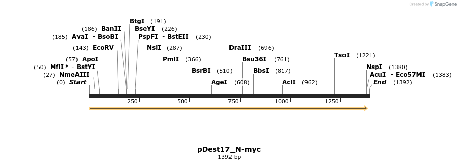 460250_map