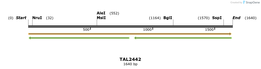 46026_map