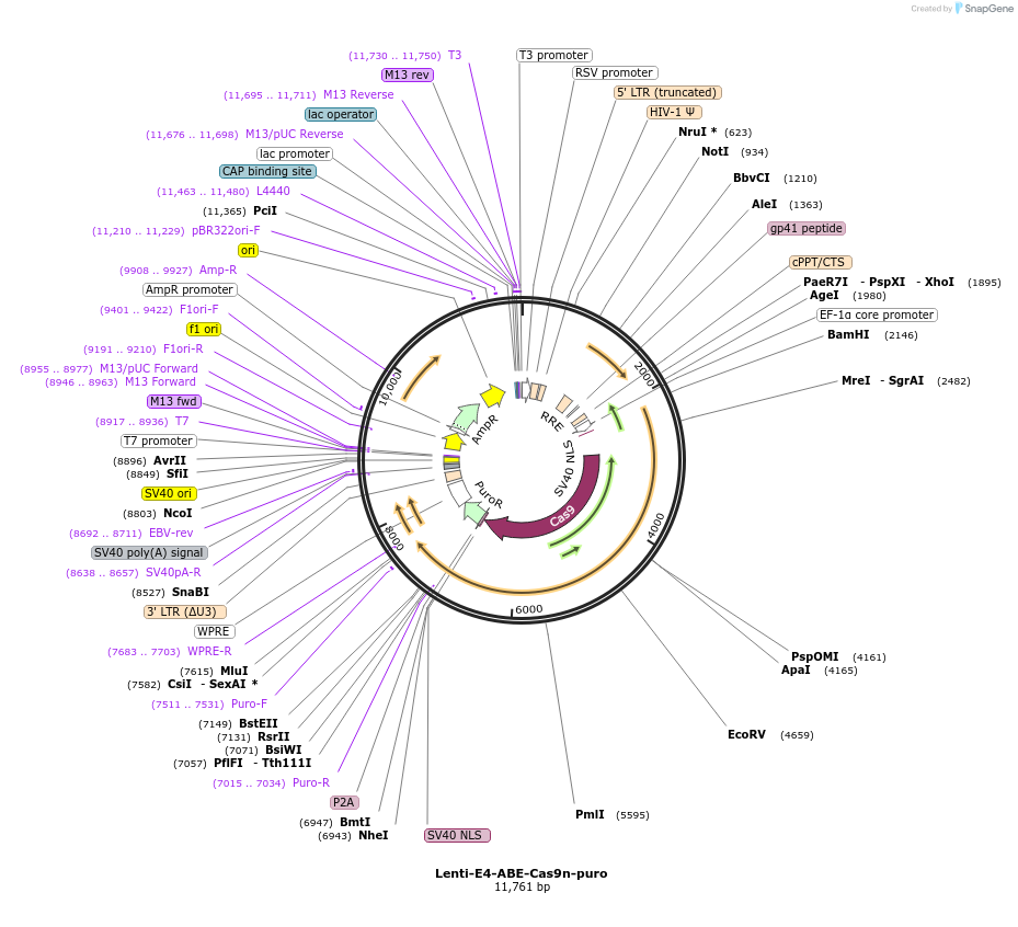 460276_map