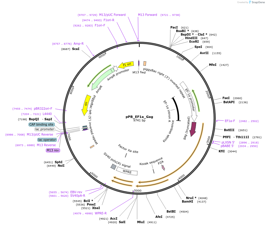 460281_map