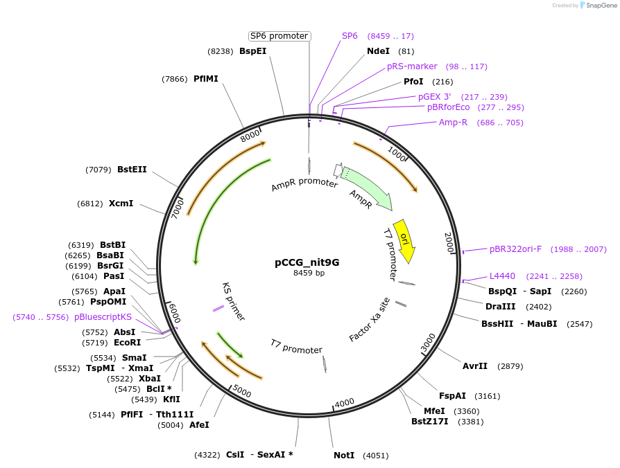 460291_map