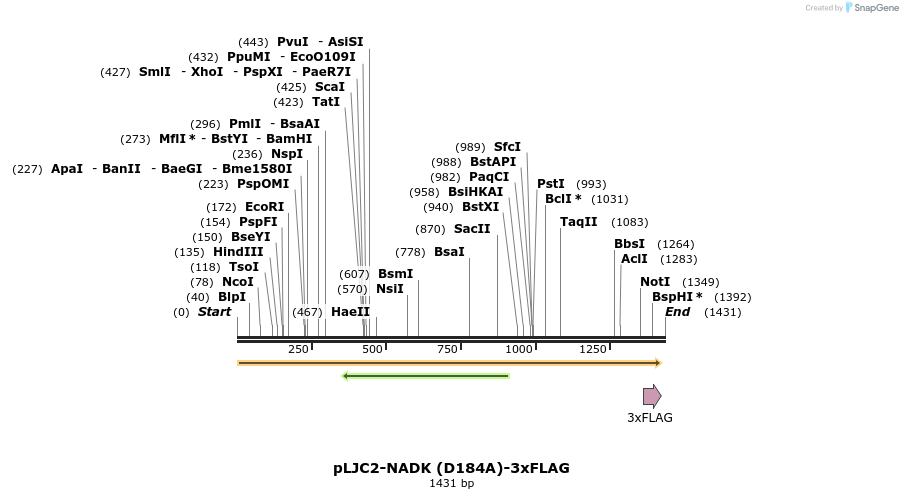460302_map