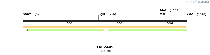 46031_map
