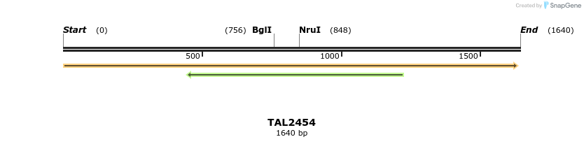 46036_map