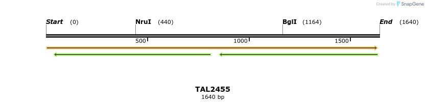 46037_map