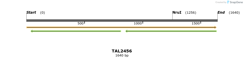 46038_map