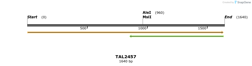 46039_map