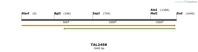 46040_map