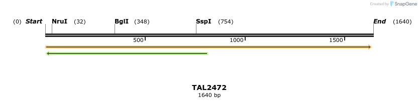 46046_map
