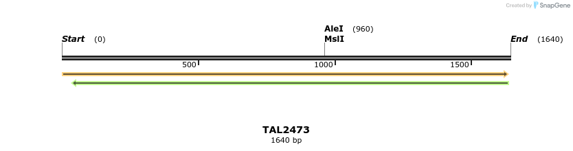 46047_map