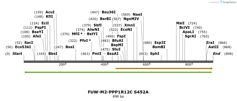46048_map
