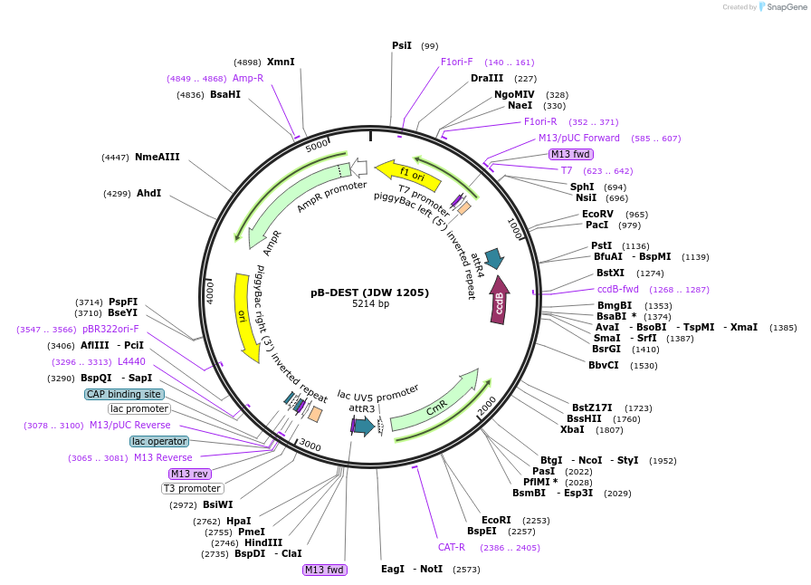 460481_map