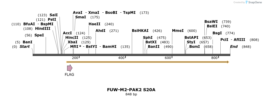 46051_map