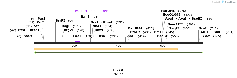46052_map