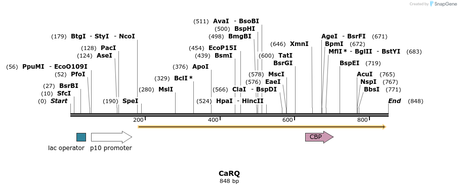 46054_map
