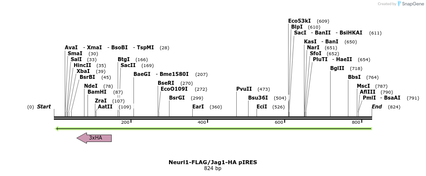 46059_map