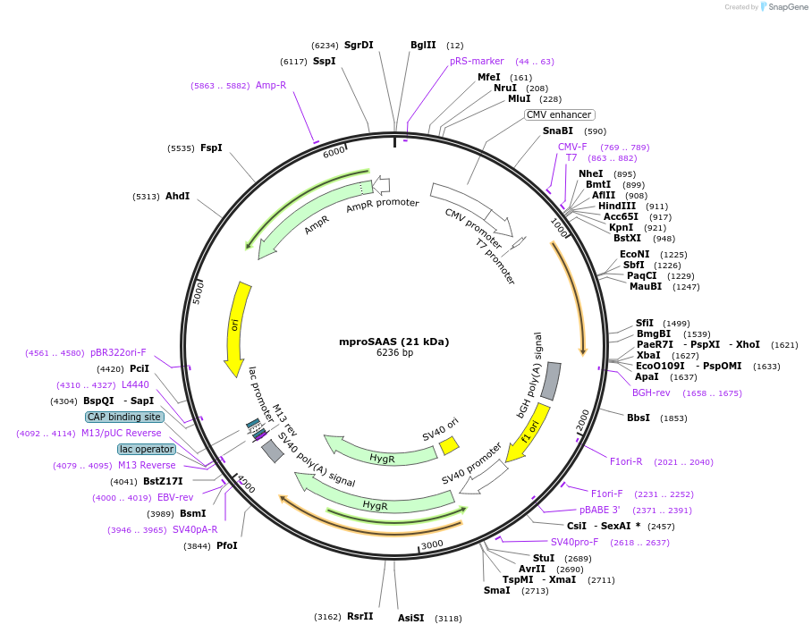 460591_map