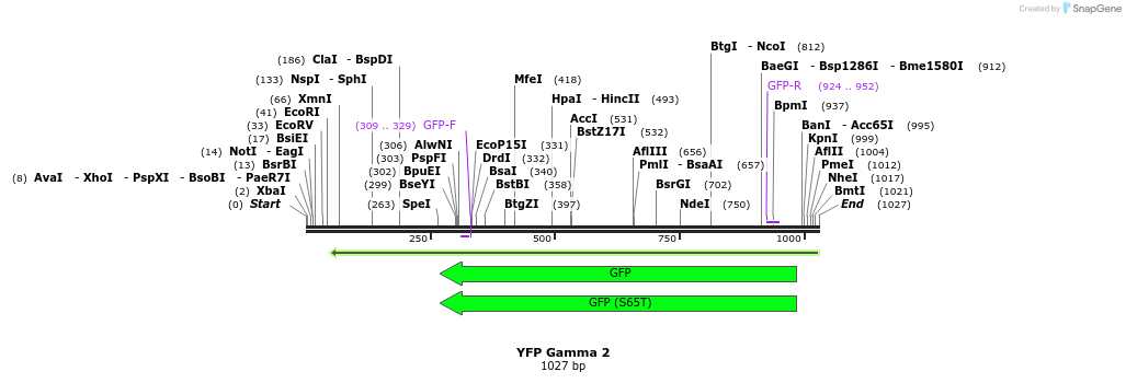 46061_map