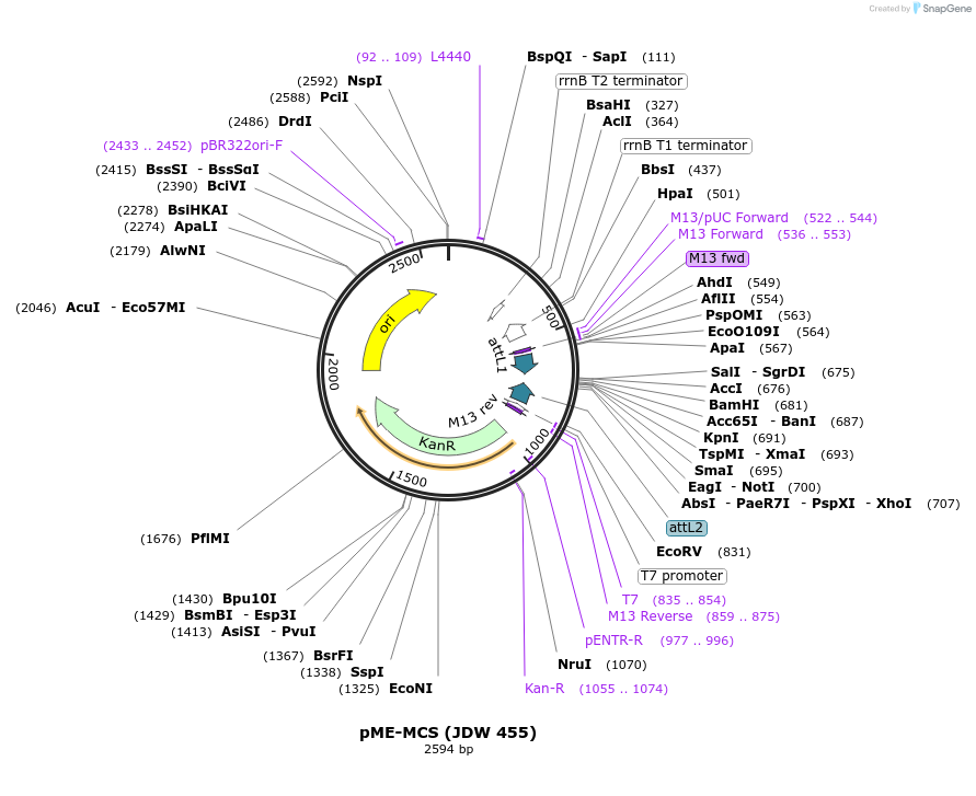 460677_map