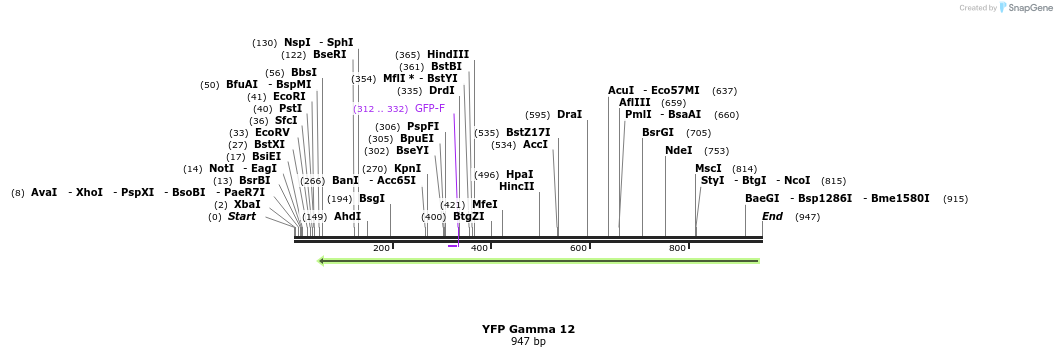 46068_map