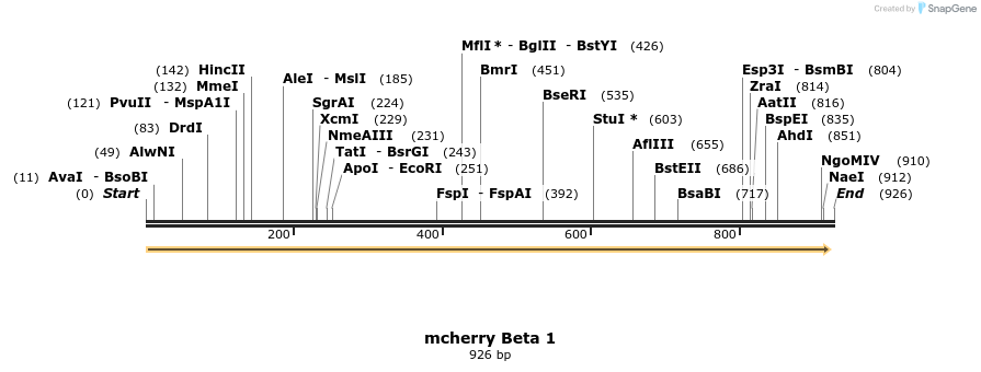 46070_map