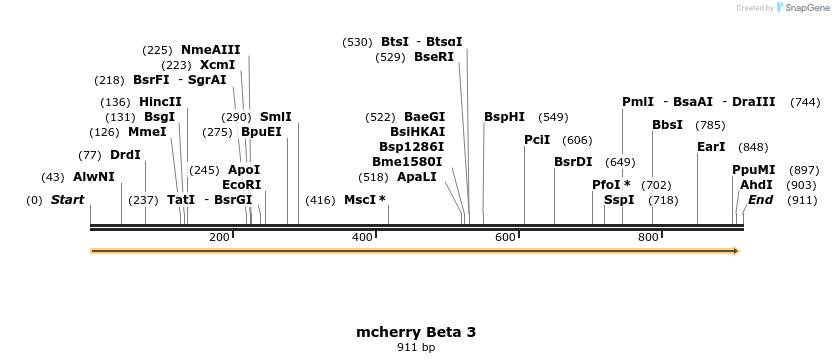 46072_map