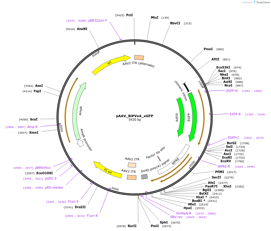 460815_map