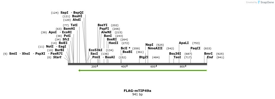 46083_map