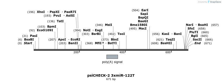 46086_map