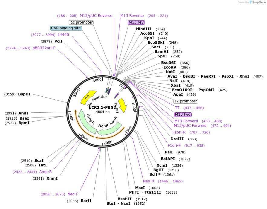 46087_map