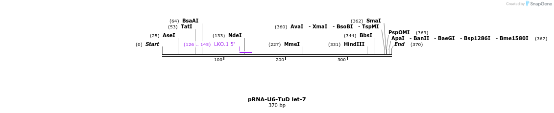 46091_map