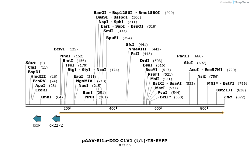 46096_map