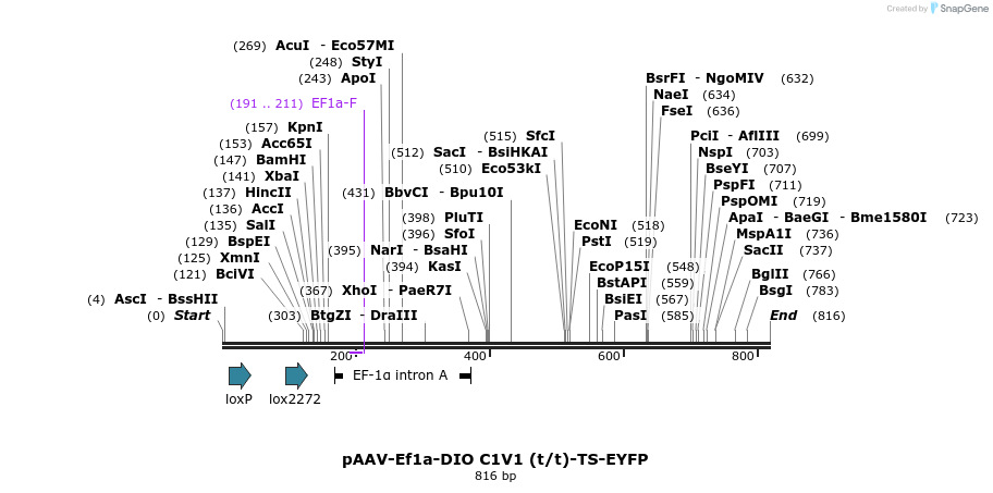 46097_map