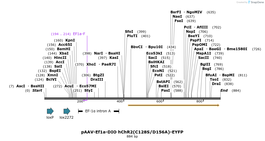 46101_map