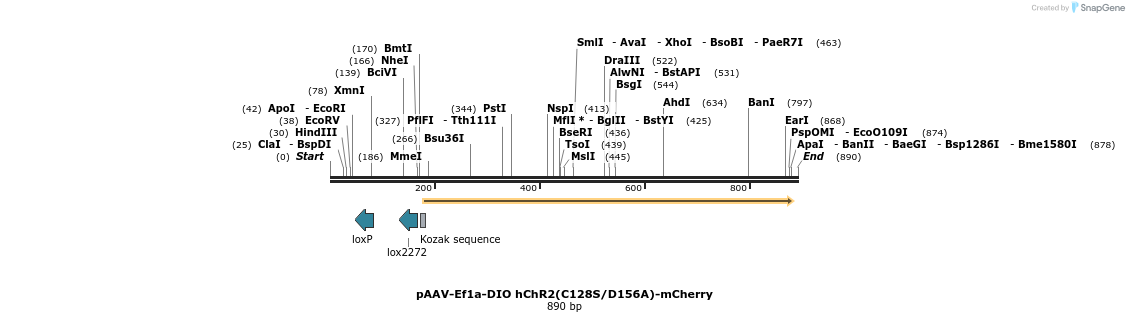 46103_map